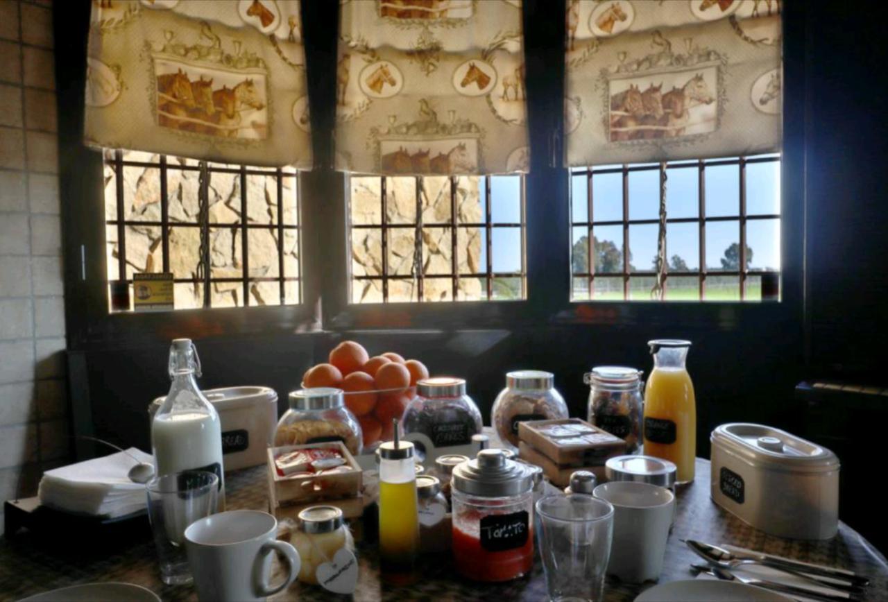 Casa Ecuestre Carmen Martinez Bed & Breakfast Fuente Palmera Eksteriør bilde